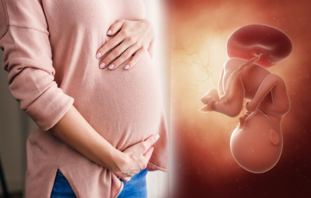 Koji su simptomi trudnoće? Rani simptomi trudnoće