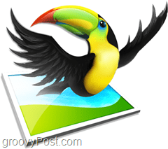 aviary toucan urednik boja