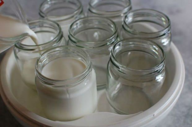 jogurt od seoskog mlijeka