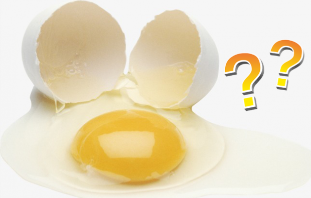 Da li je žumanjak ili bijeli jaje koristan