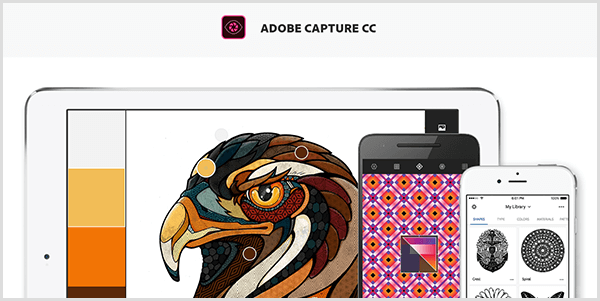 Adobe Capture stvara paletu od slike koju snimite mobilnim uređajem. Web stranica prikazuje ilustraciju ptice i paletu stvorenu iz ilustracije, koja uključuje svijetlo sivu, žutu, narančastu i crvenkasto smeđu.