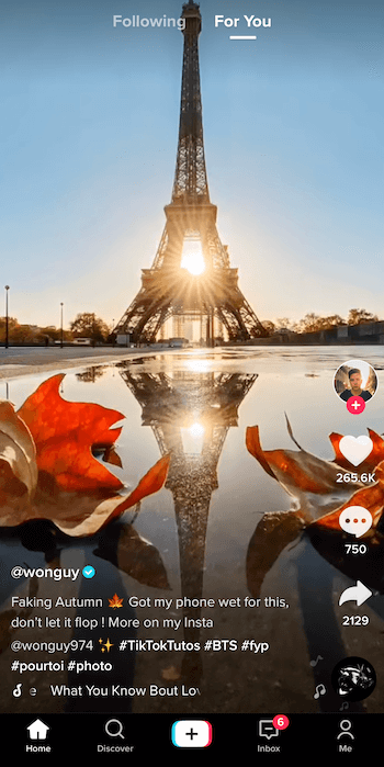 snimka zaslona tiktok @ @ winguy974 pod naslovom lažna jesen, prikazuje Eiffelov toranj u silueti i sunce zalazi iza nje sa svojim odrazom u lokvi uokvirenoj dvama jesenskim lišćem na dnu slika