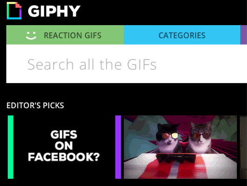 giphy na facebooku