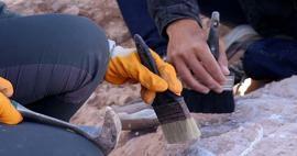 Otkriće koje će promijeniti tijek povijesti: Arheolozi pronašli najstariju drvenu konstrukciju na svijetu