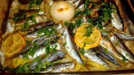 Kako kuhati ribu sardinu? Najlakši recept za srdele