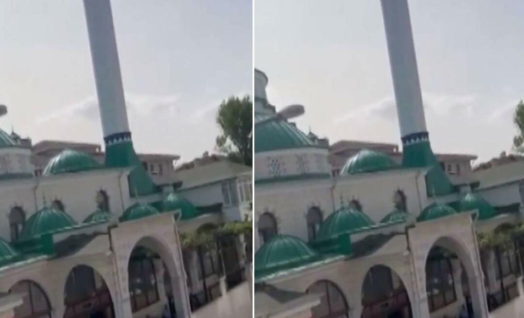 Obavijest 'Mačka je tužna' iz džamije postala je viralna! Trenuci koji svima izmame osmijeh na lice...