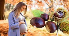 Smiju li trudnice jesti kestene? Prednosti jedenja kestena tijekom trudnoće za bebu i majku