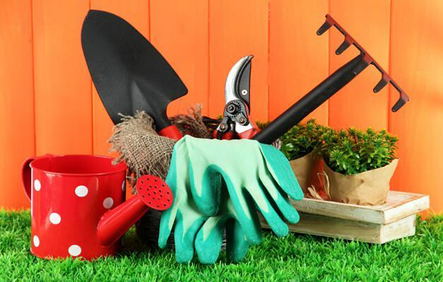 kako očistiti vrt