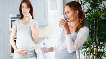 Prednosti pijenja vode za trudnice! Koliko vode treba uzimati dnevno tijekom trudnoće? 