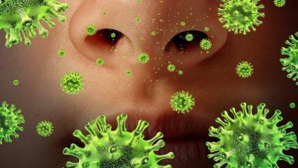 Ponovna pojava: što je virus Sars i koji su njegovi simptomi? Kako se prenosi virus Sars?