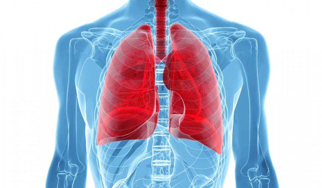 Što je sindrom bijelih pluća i koji su njegovi simptomi? Koji je tretman za sindrom bijelih pluća?