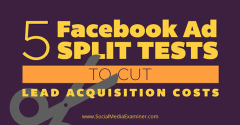 pet facebook ad split testova