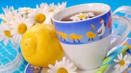 Preporuka biljnog čaja iz Saraçoğlua tijekom trudnoće! Je li štetno za trudnice piti biljni čaj?