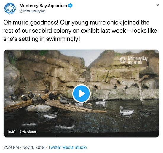 tweet iz akvarija Monterey Bay kao primjer glasa marke na društvenim mrežama