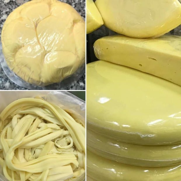 kako napraviti sir od kolota