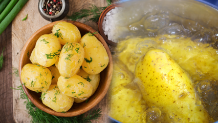 Kako se krumpir kuha? Savjeti kuhanog krumpira