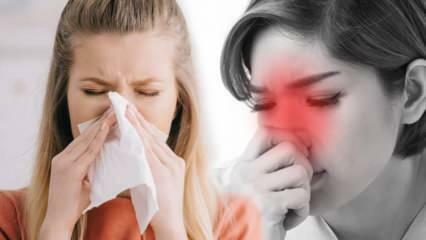 Što je alergijski rinitis? Koji su simptomi alergijskog rinitisa? Postoji li liječenje alergijskog rinitisa?