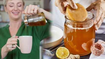 Slabi li kombucha čaj? Kako napraviti kombuchu za mršavljenje? Prednosti kombucha čaja