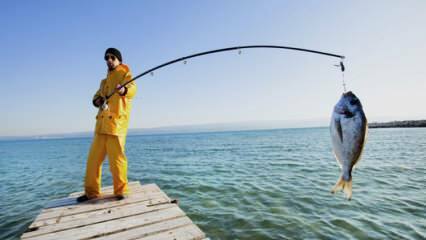 Kako loviti ribu? Koji su trikovi ribolova štapom?
