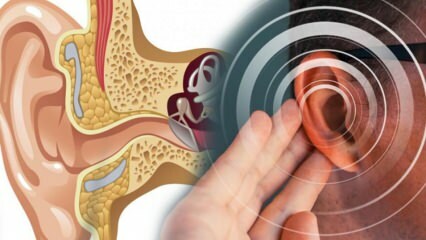 Bolest uha: Što uzrokuje bolest? Koji su simptomi Menierea? Postoji li lijek?