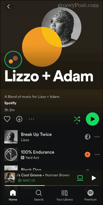 mješavina spotify umjetnika