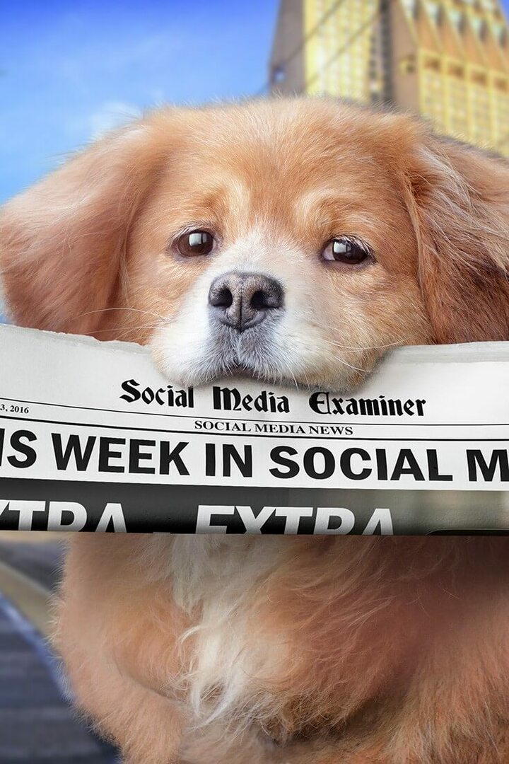 Facebook Live izbacio je ciljanje publike: Ovaj tjedan na društvenim mrežama: Ispitivač društvenih medija