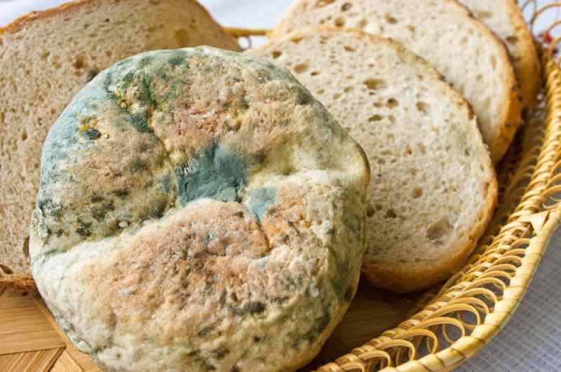 Načini kako spriječiti da kruh postane ustajao i pljesniv