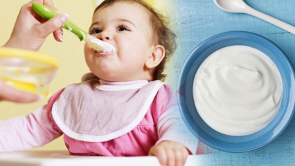 Kako napraviti jogurt za bebe? Recepti domaćeg voćnog jogurta za bebe