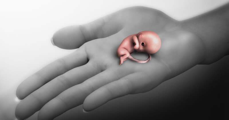 Što je pobačaj? Simptomi pobačaja tijekom trudnoće
