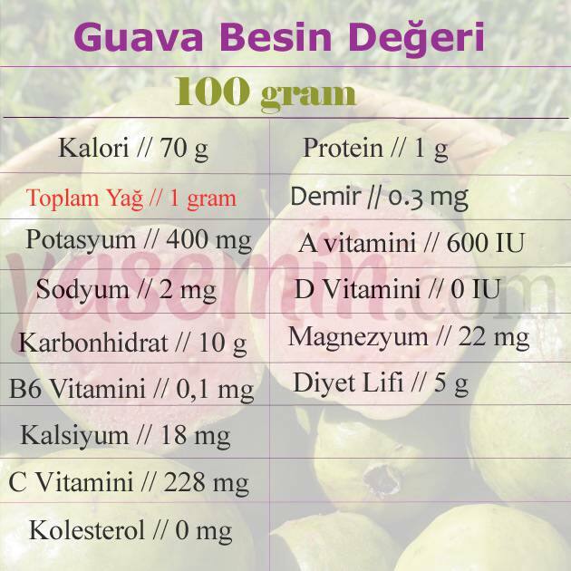 nutritivna vrijednost guave