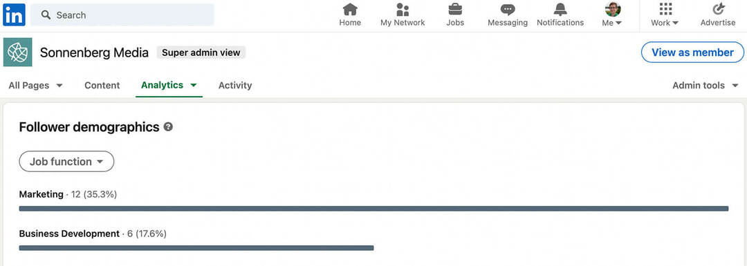 kako-napraviti-godišnju-provjeru-provjere-social-media-audience-metrics-linkedin-analytics-follower-industry-seniority-job-function-sonnenbergmedia-example-9