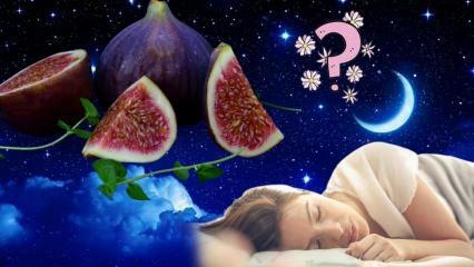 Što znači vidjeti drvo smokve u snu? Što znači sanjati jesti smokve? Brati smokve sa drveta u snu