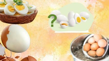 Dijeta s kuhanim jajima! Čini li vas jaje sitima? 12 kg u tjedan dana 