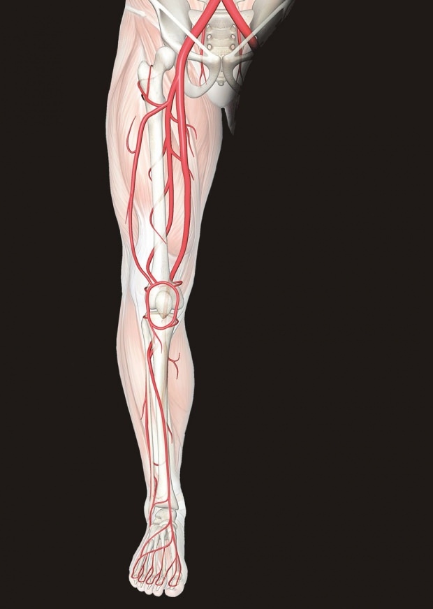 nelagoda u živcima u nogama uzrokuje bol u nogama