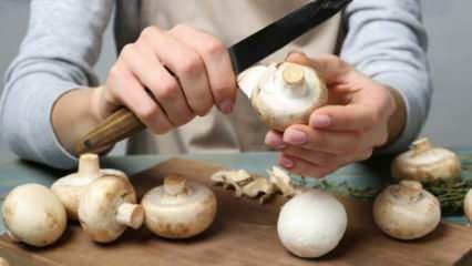 Kako oguliti gljive? Kako spriječiti da gljiva pocrni, koji su trikovi