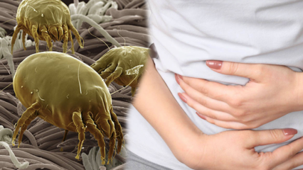 Gdje se nalazi najprljaviji dio tijela i kako se čisti? Koje su bolesti uzrokovane parazitima? 