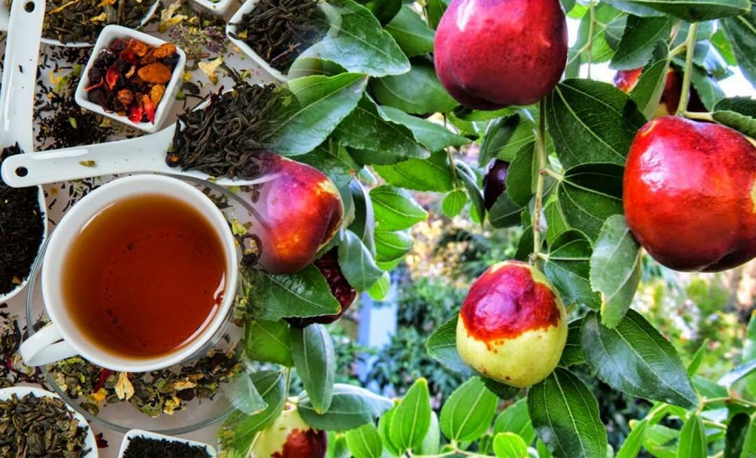 Koje su prednosti čaja od žižule koji preporučuje Ibn Sina? Za što je dobar čaj od žižule?