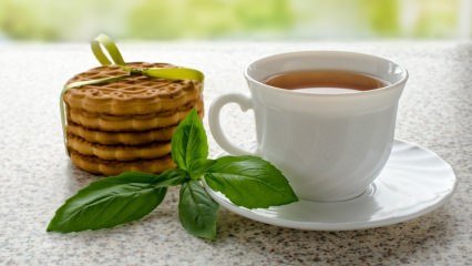 Koje su prednosti bosiljka? Gdje se koristi bosiljak? Kako napraviti čaj od bosiljka?