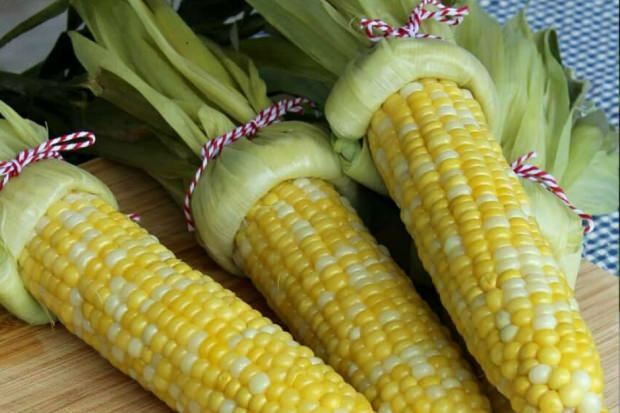 Koje su prednosti kukuruza