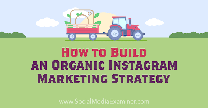 Kako izgraditi organsku Instagram marketinšku strategiju Corinna Keefe na ispitivaču društvenih medija.
