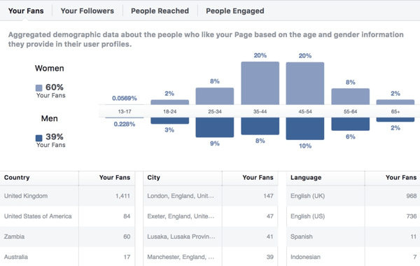 Facebook Insights demografski podaci o publici.