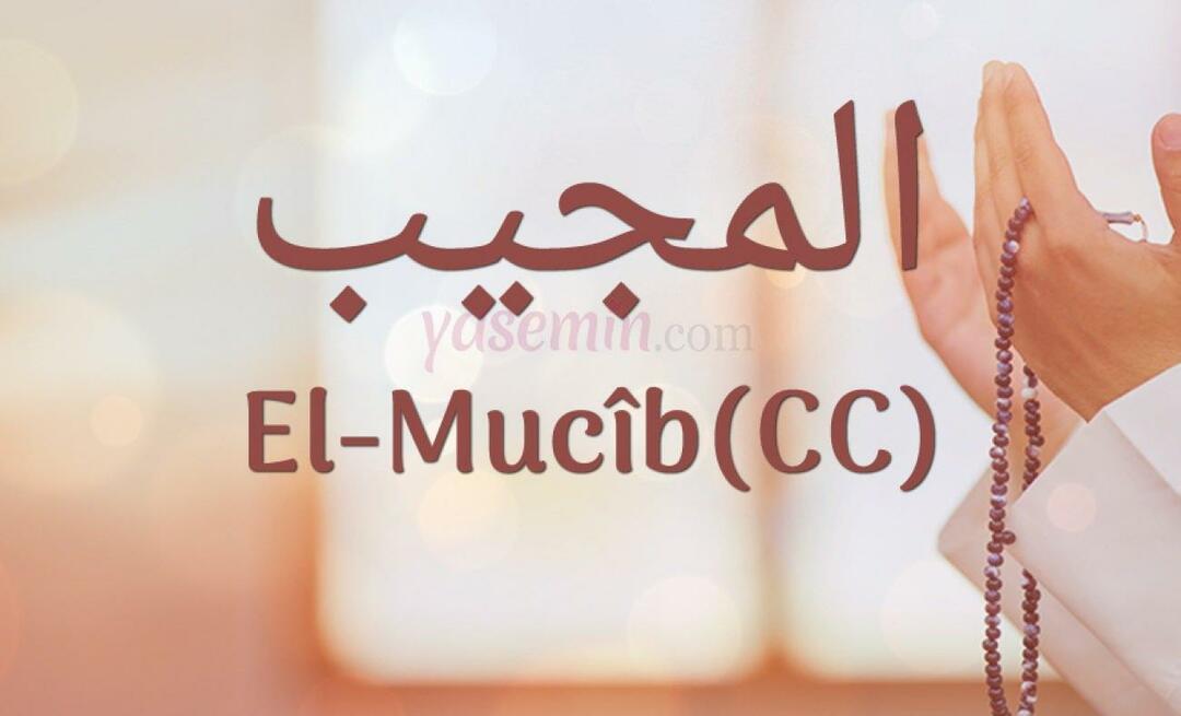 Šta znači al-Mujib (c.c)? Koje su vrline imena El-Mujib? Esmaul Husna El-Mujib...