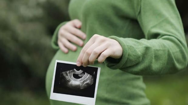 Koji se organ prvo razvija u dojenčadi? Razvoj beba iz tjedna u tjedan