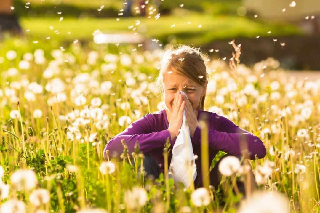 Što treba uzeti u obzir za zaštitu djece od sezonskih alergija