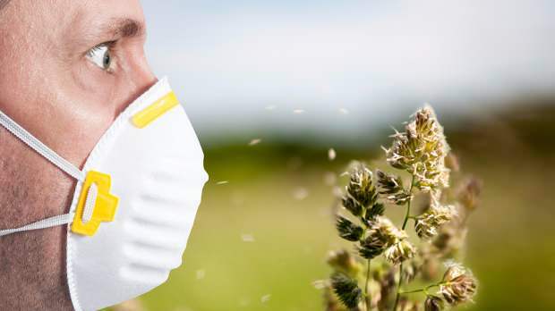 proljetnu alergiju uzrokuju pelud, kućni ljubimci, povećana temperatura i prašina