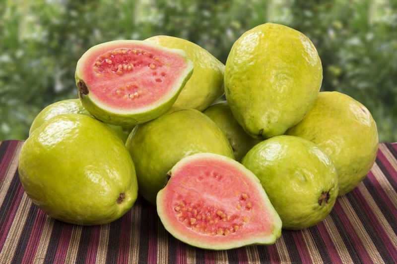 plod guavana prolazi kao jagoda 