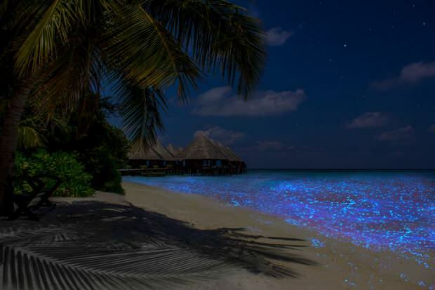 Maldivi Otok Vaadhoo