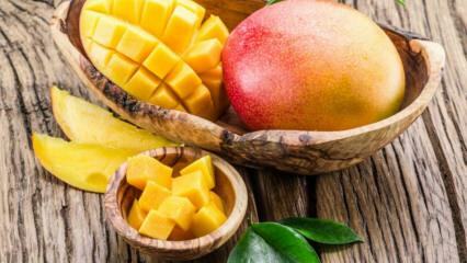 Koje su prednosti Manga? Za koje su bolesti mango dobri? Što se događa ako konzumirate redovite mango?