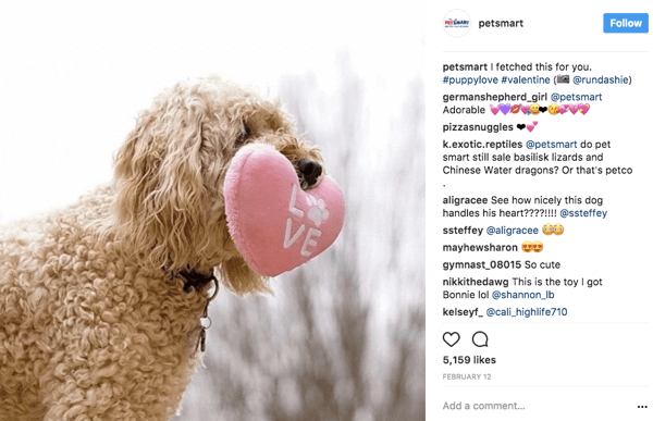 Kad PetSmart ponovno podijeli korisničke fotografije na Instagramu, oni daju priznanje za fotografiju originalnom posteru u naslovu.