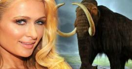 Paris Hilton uložila novac u mamute! 